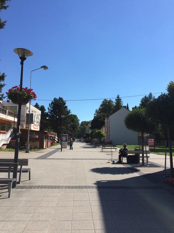 Ubytovanie Na Sukromi Turčianske Teplice Exteriér fotografie
